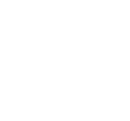 Vē Shoes